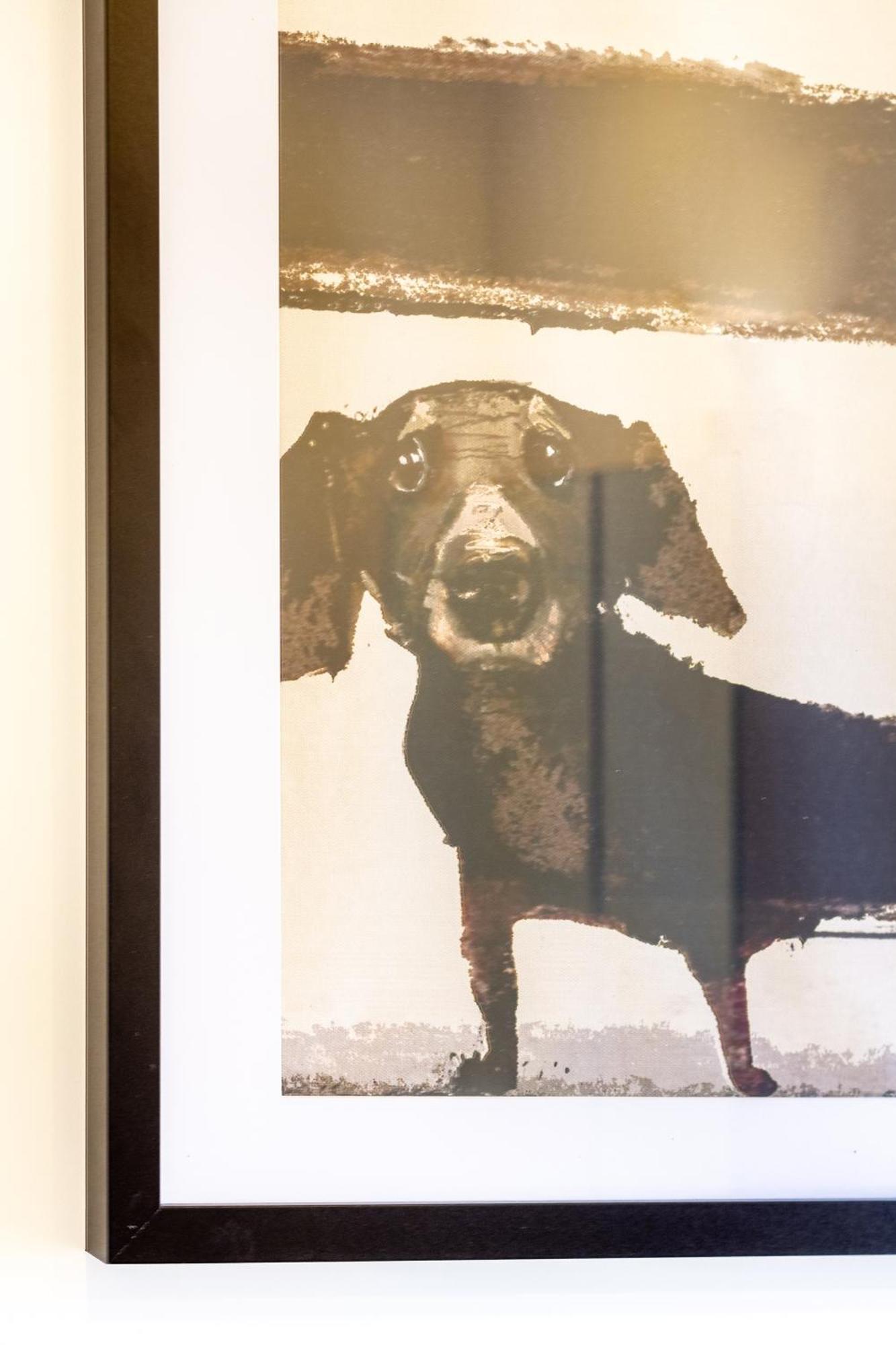 Central City Charm: Pet-Friendly Studio Christchurch Extérieur photo