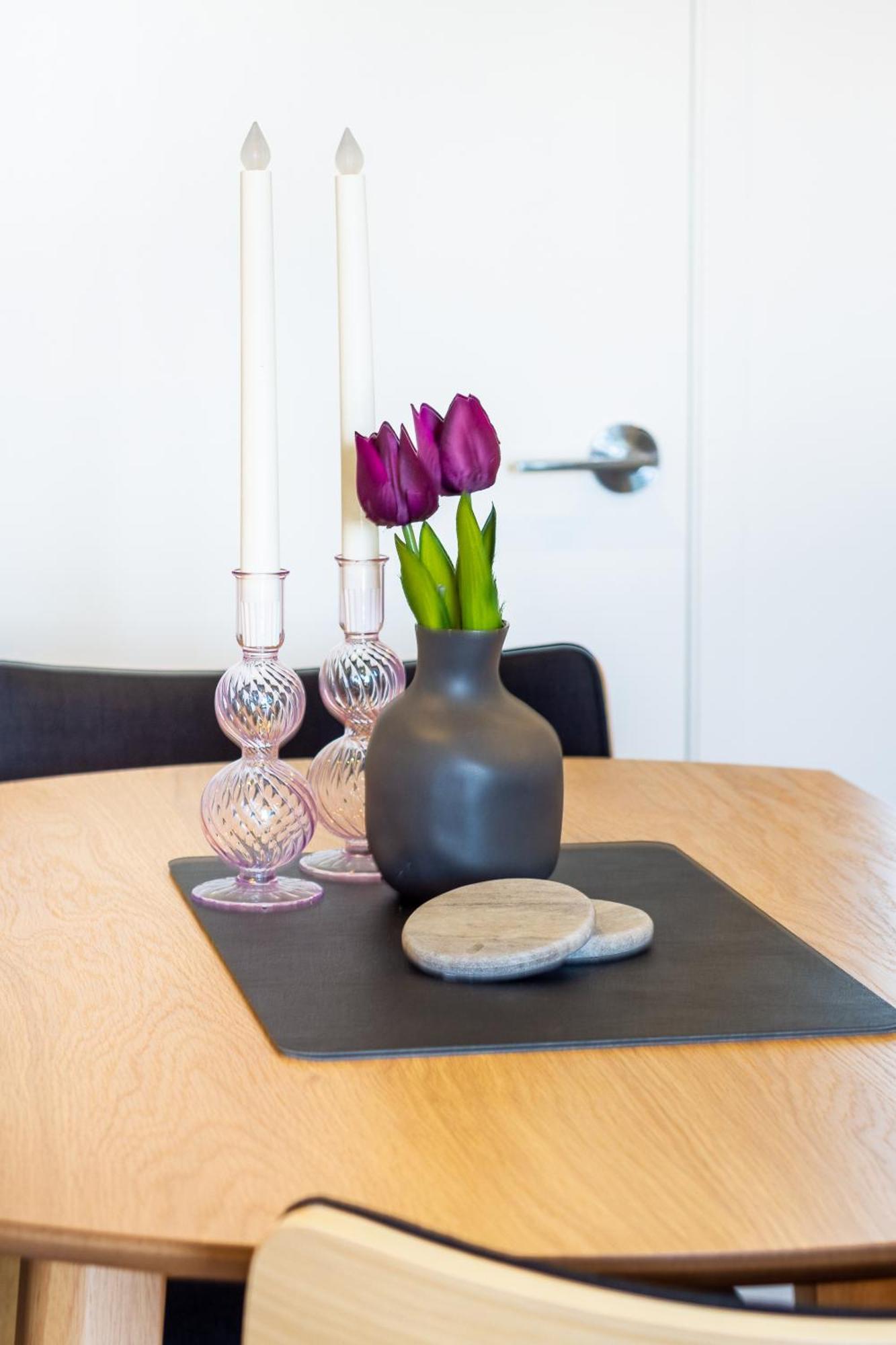 Central City Charm: Pet-Friendly Studio Christchurch Extérieur photo